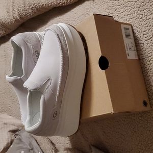 Ugg sneakers